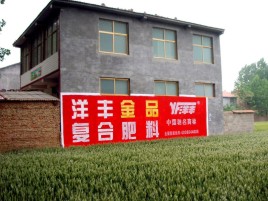 靖边如何让墙体广告展现最大化效果